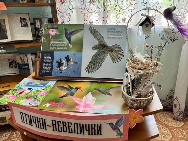 Экологический час «Птички-невелички»