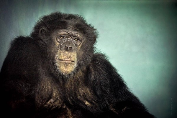 Программа «Афиша на март 2026»