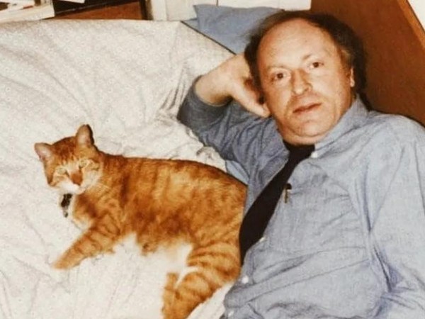 Ах, как много на свете кошек