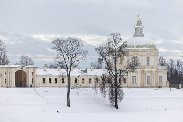 Программа «Органные концерты»
