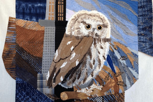 «Пёстрый мир»