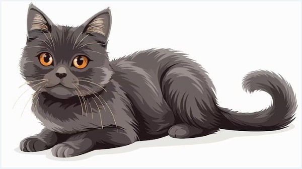 Фестиваль «Без кота и жизнь не та»