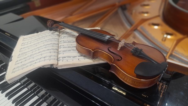 Мастер-класс по специальности «Скрипка»