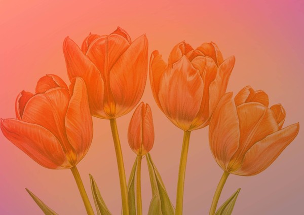 Выставка к 8 марта