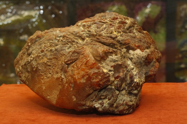 Лекция ко Дню создания Музея янтаря