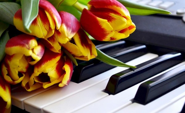 Праздничный концерт, посвященный 8 марта