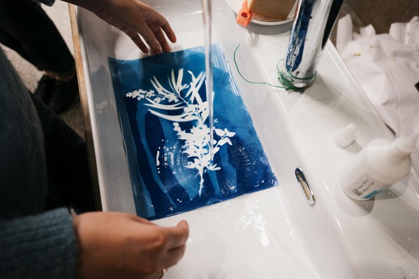 Образовательный курс «Мастерская альтернативной печати: цианотипия»