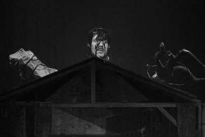 Жизнь и Приключения Сарая № ХII