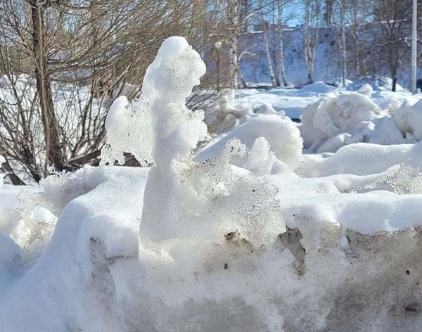 Программа «Музыка весны»