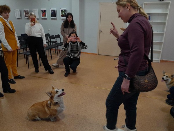 Урок-знакомство «Знаменитые собаки»