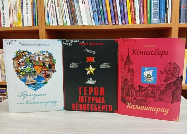 Познавательная беседа «Любимый город мой – Калининград»