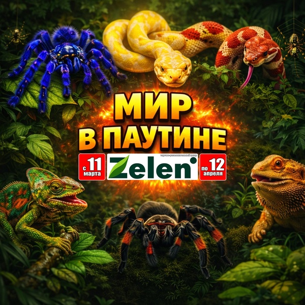 Экзотическая выставка «Мир в паутине»