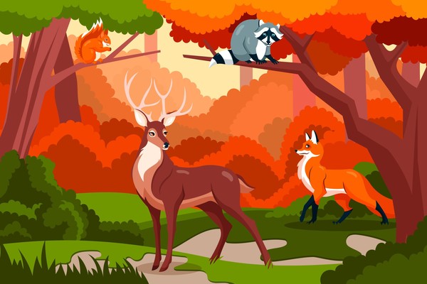 «Дикий мир»