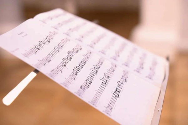 Концерт «Гармония настроений. Дуэт скрипки и гитары»