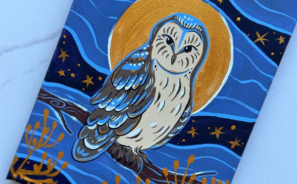 Мастер-класс «Магическая сова»