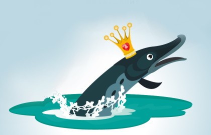 По щучьему велению