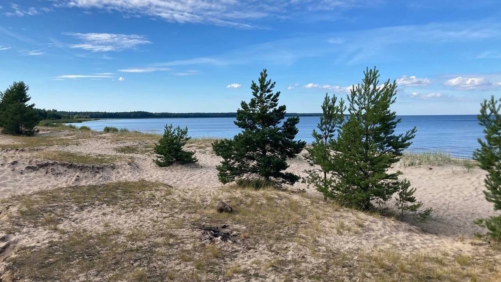 Приморск - Ермиловская бухта - Флотский мыс. Море, которое рядом