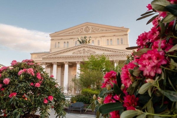 Содружество прекрасных муз