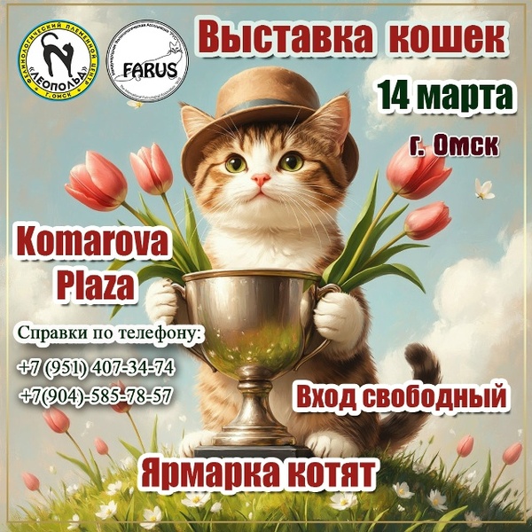 эксперты по уходу за кошками