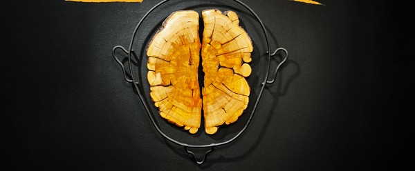 Выставка «Мнение. Влияние. Выбор»