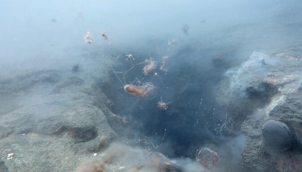 Интерактивный урок «Происхождение жизни»