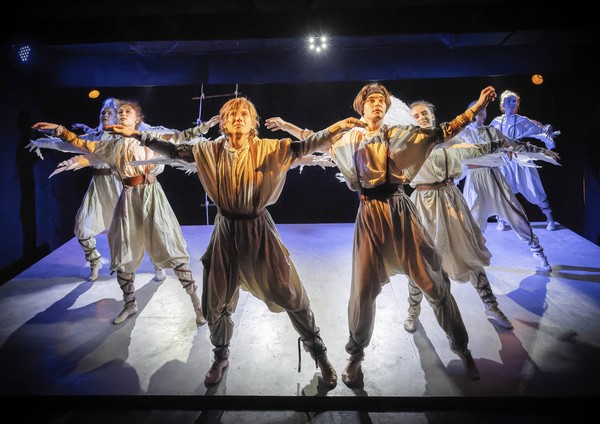 Чайка Livingston