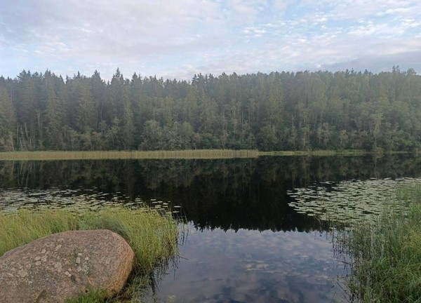 Литературная программа «Красота родного края»