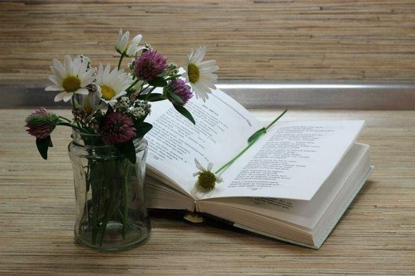 «Люблю Отчизну я, но странною любовью…»