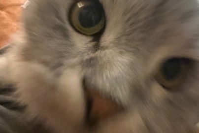 Благотворительный стендап