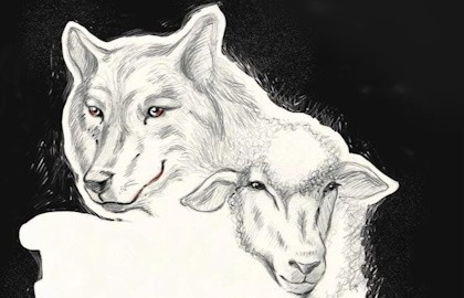 Волки и овцы