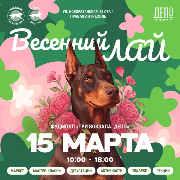 Праздник для четвероногих друзей