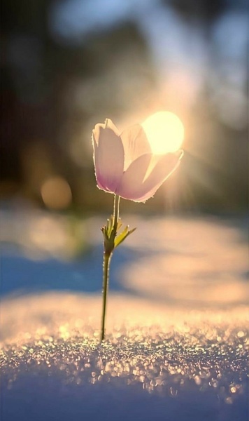 Девичник / обновление Весной