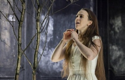 Мадам Бовари