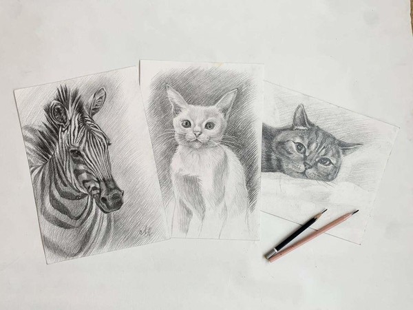 Мастер-класс «Зарисовки животных простым карандашом»