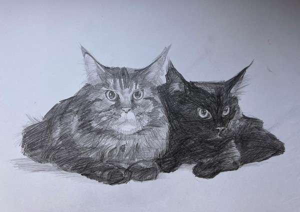 Выставка «Котовасия»