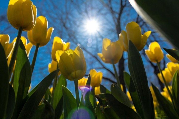 Беседа «Мелодии пробуждения»
