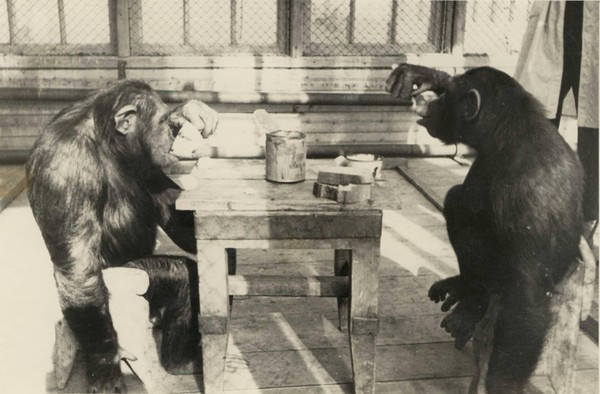 Экскурсия «Герои прогресса: след животных в науке»