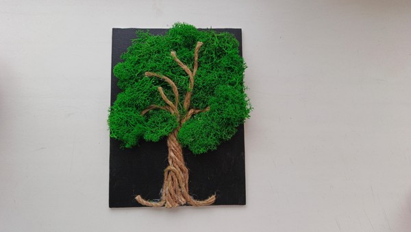 Мастер-класс «Панно из мха»