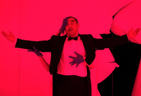 Три плюс кот