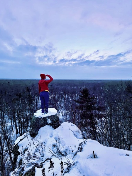 Лесная прогулка