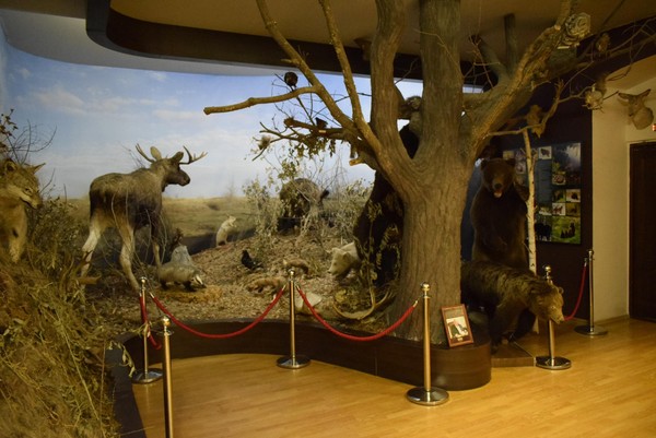 Экспозиции Стерлитамакского историко-краеведческого музея