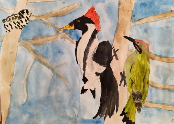 «Птицы Сибири»