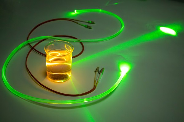 Куда ведут свет?