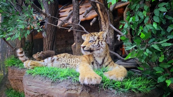 Обзорная экскурсия по «Лабиринтам подземья»