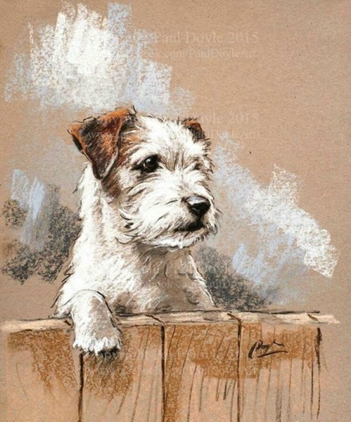 18.03 в 18.30 Мастер-класс "Собака", пастель.