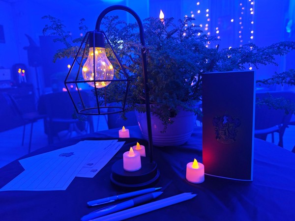 Игра «Принц-полукровка»