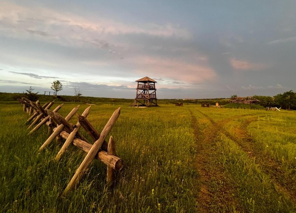 Музейный урок «Белгородская защитная черта»