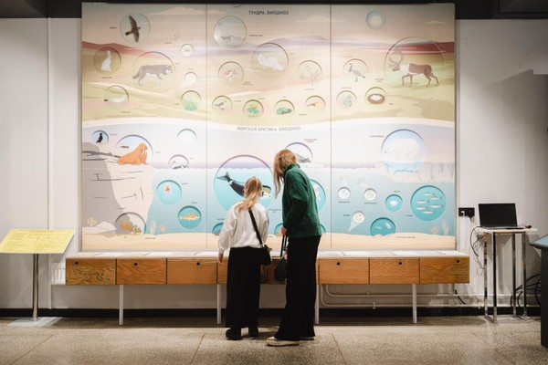 Экскурсия «Природа Архангельской области. Арктическая зона»