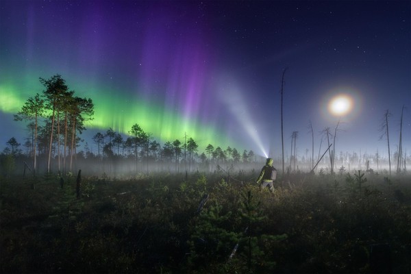 Фотовыставка «Коми – край бореальных болот»