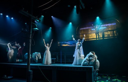 Полярная болезнь